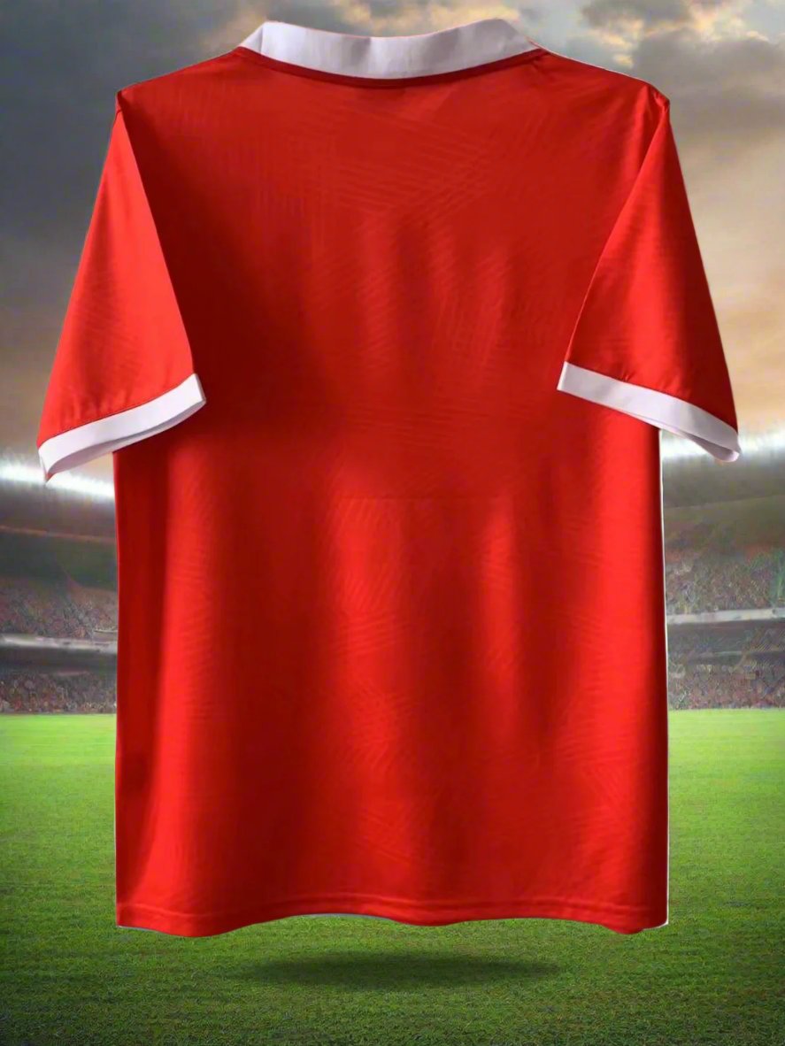 Switzerland 94-96 Home Retro Shirt rear