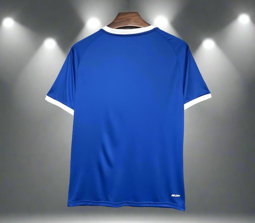 Cardiff City 24-25 Home Shirt back