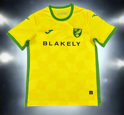 Norwich City 24-25 Home Shirt front