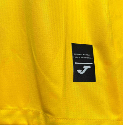 Ukraine 22-24 Home Shirt licence