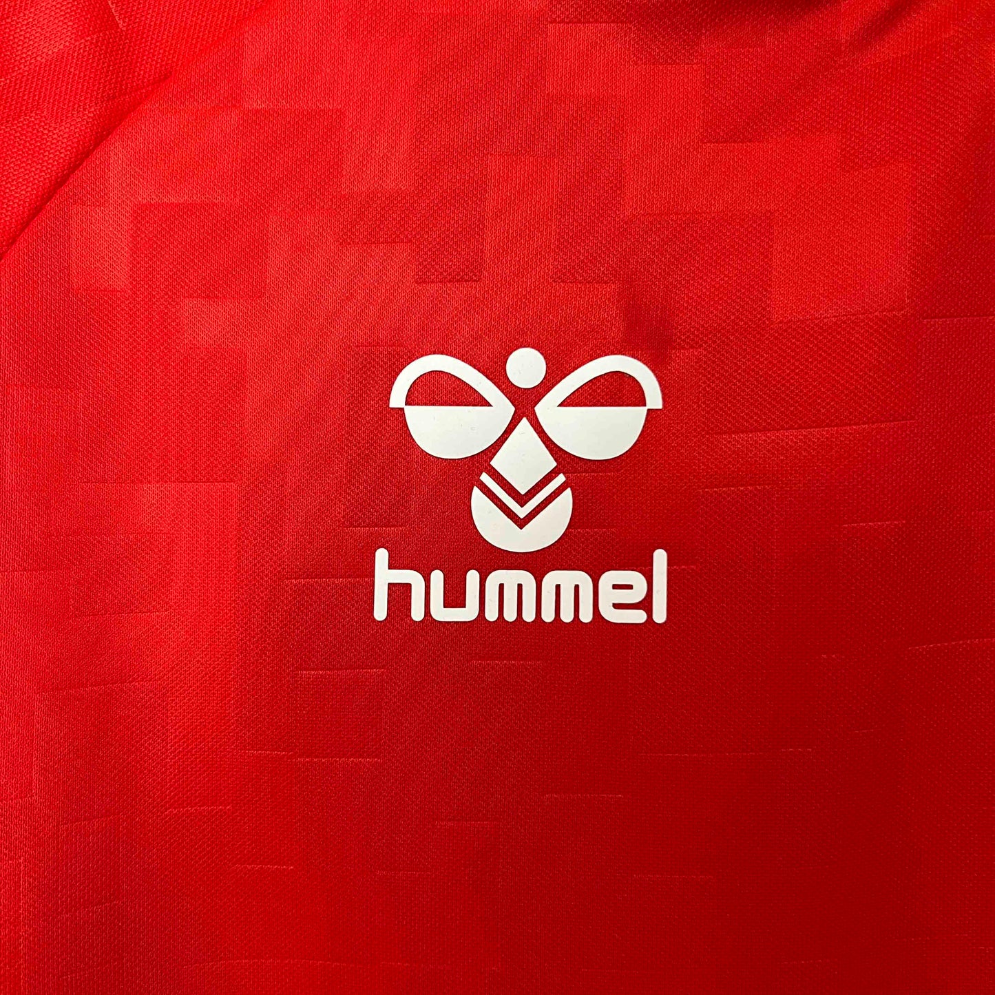 Denmark 24-25 Home Shirt brand