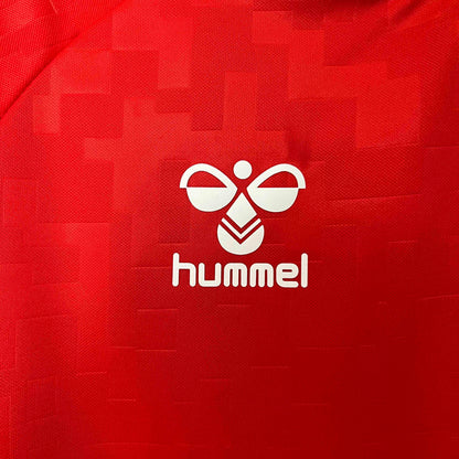 Denmark 24-25 Home Shirt brand