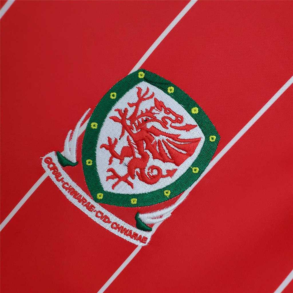 Wales 15-16 Home Retro Shirt crest