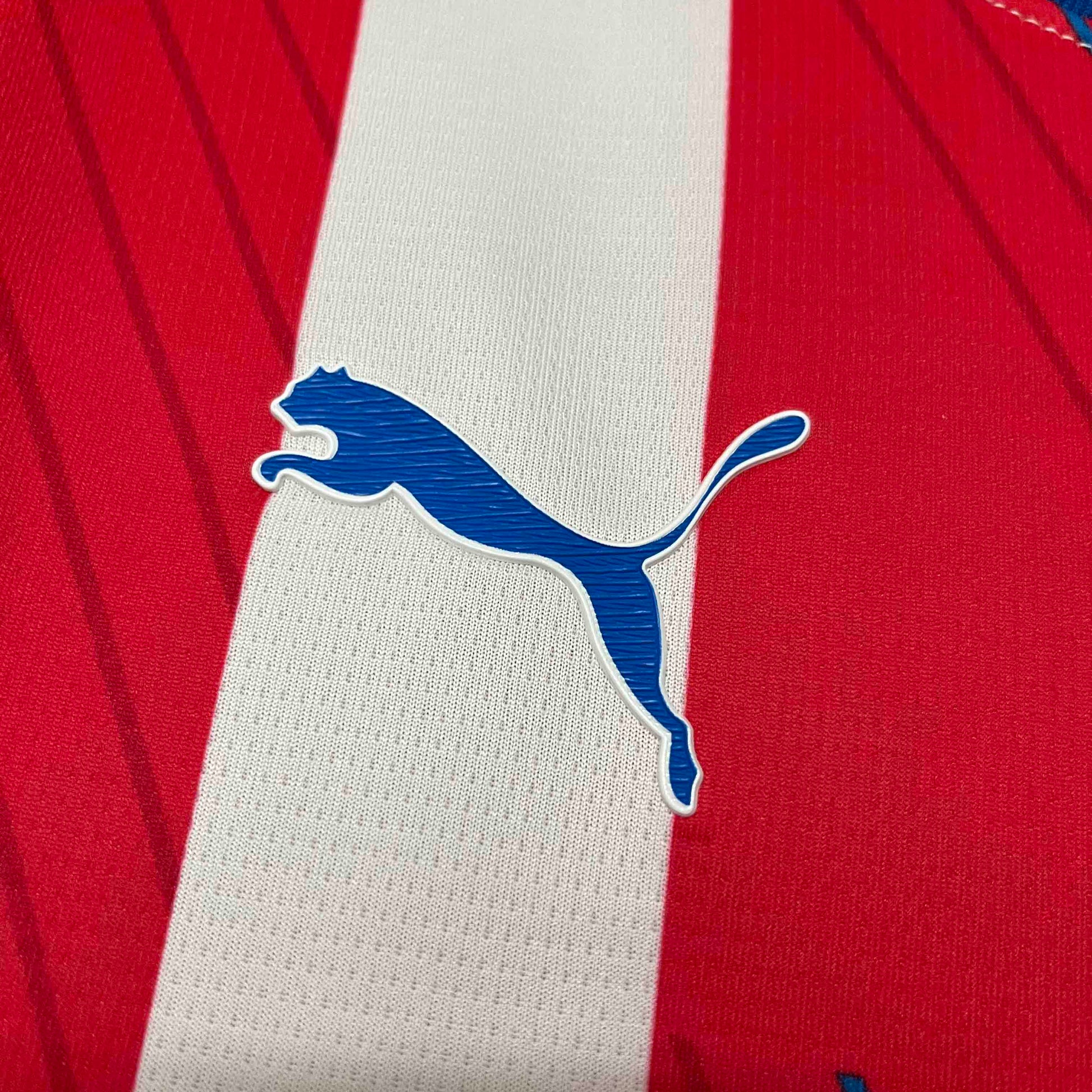 Paraguay 24-25 Home Shirt brand