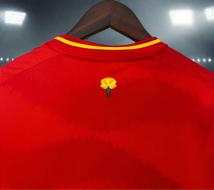 Spain 24-25 Home Shirt collar