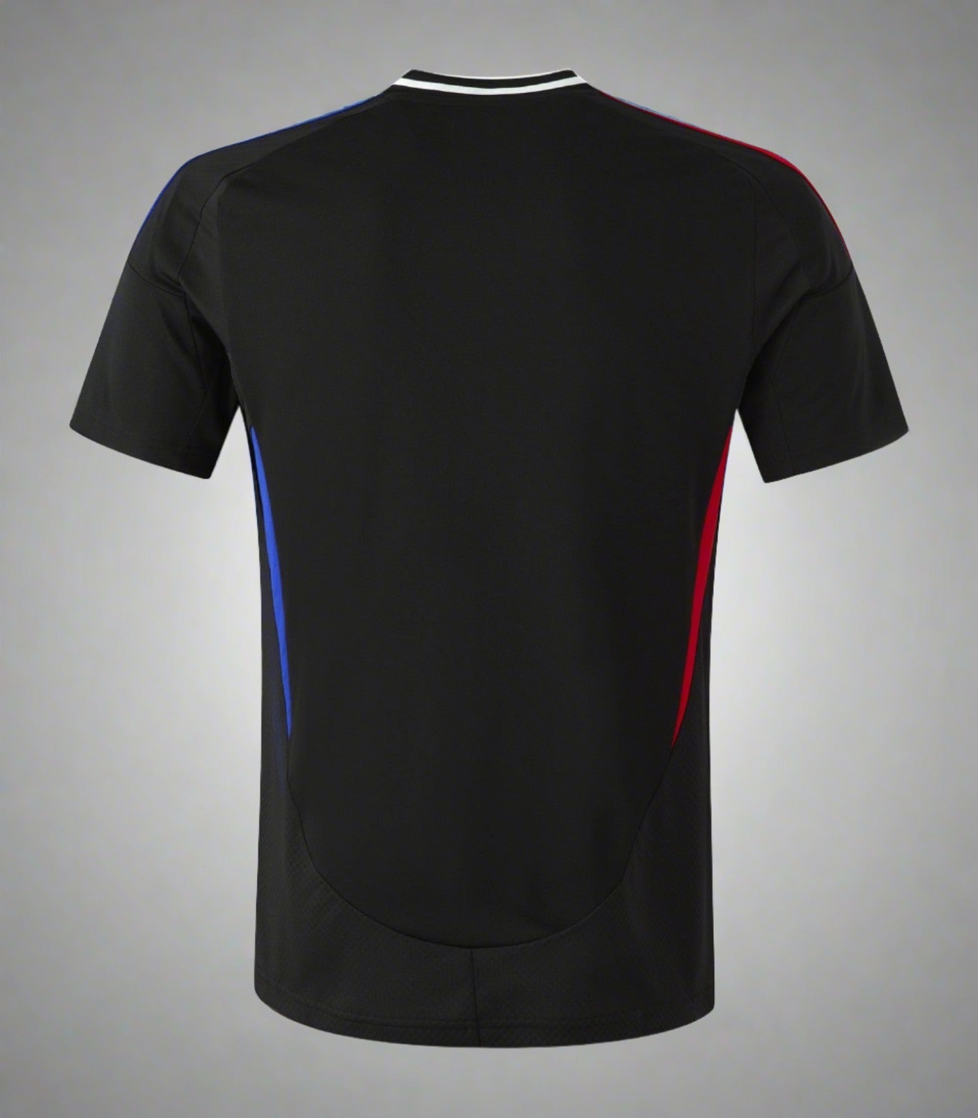 Olympique Lyonnais 24-25 Away Shirt rear