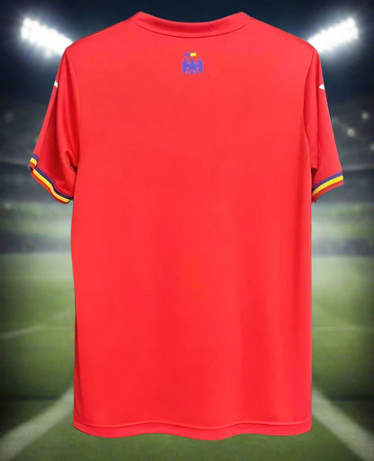 Romania 24-25 Away Shirt back