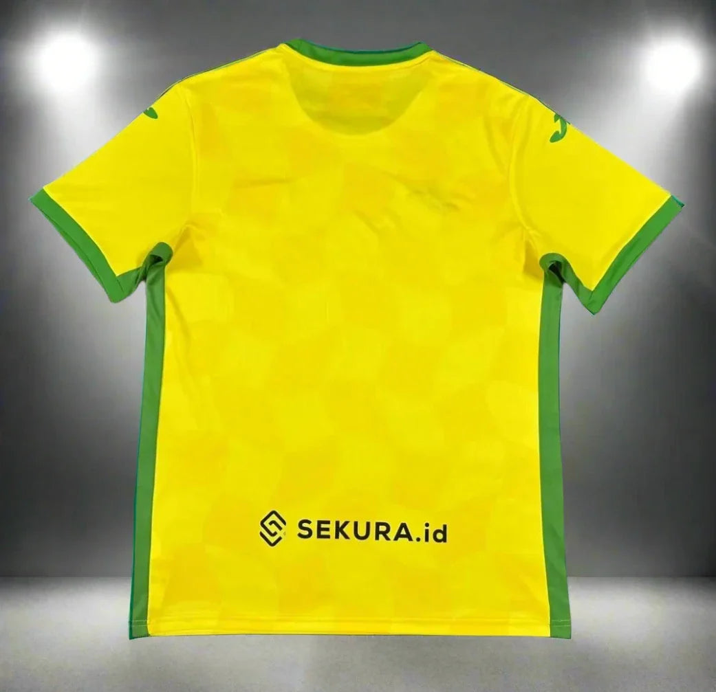 Norwich City 24-25 Home Shirt back