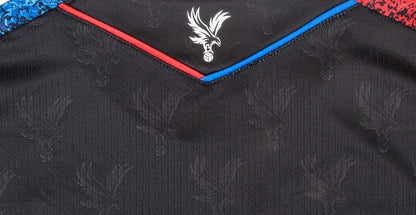 Crystal Palace 24-25 3rd Shirt