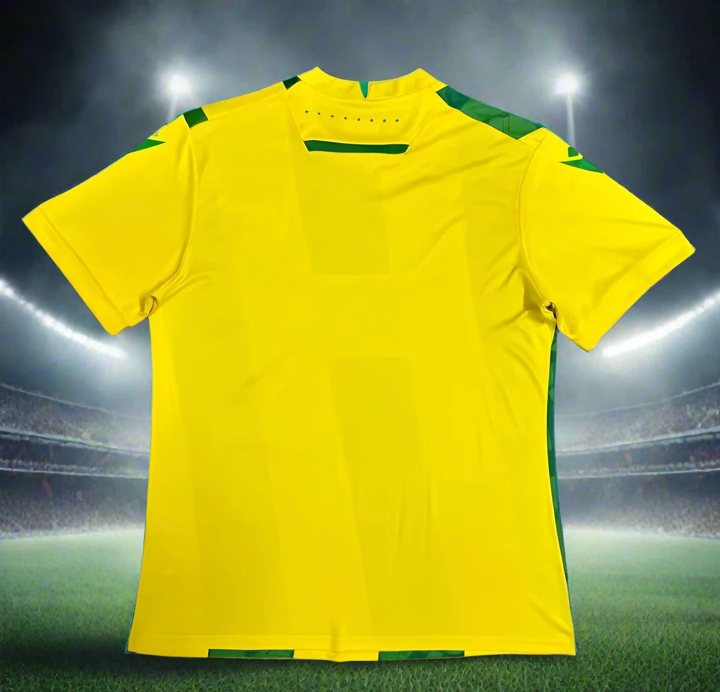 FC Nantes 24-25  Home Shirt back