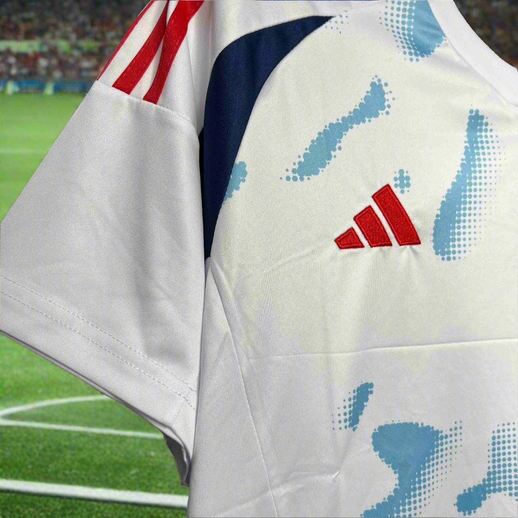 Costa Rica 24-25 Away Shirt brn