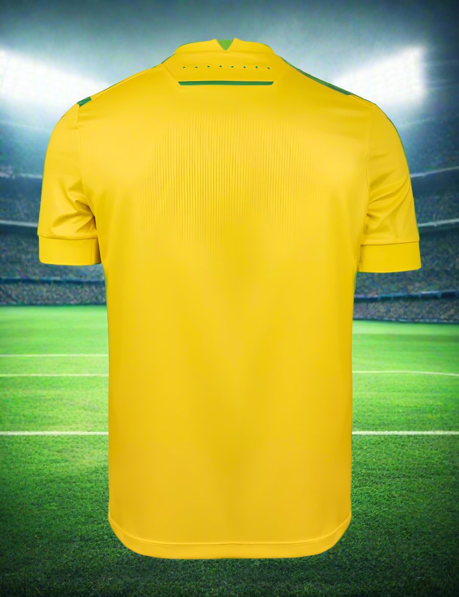 FC Nantes 24-25  Home Shirt rear