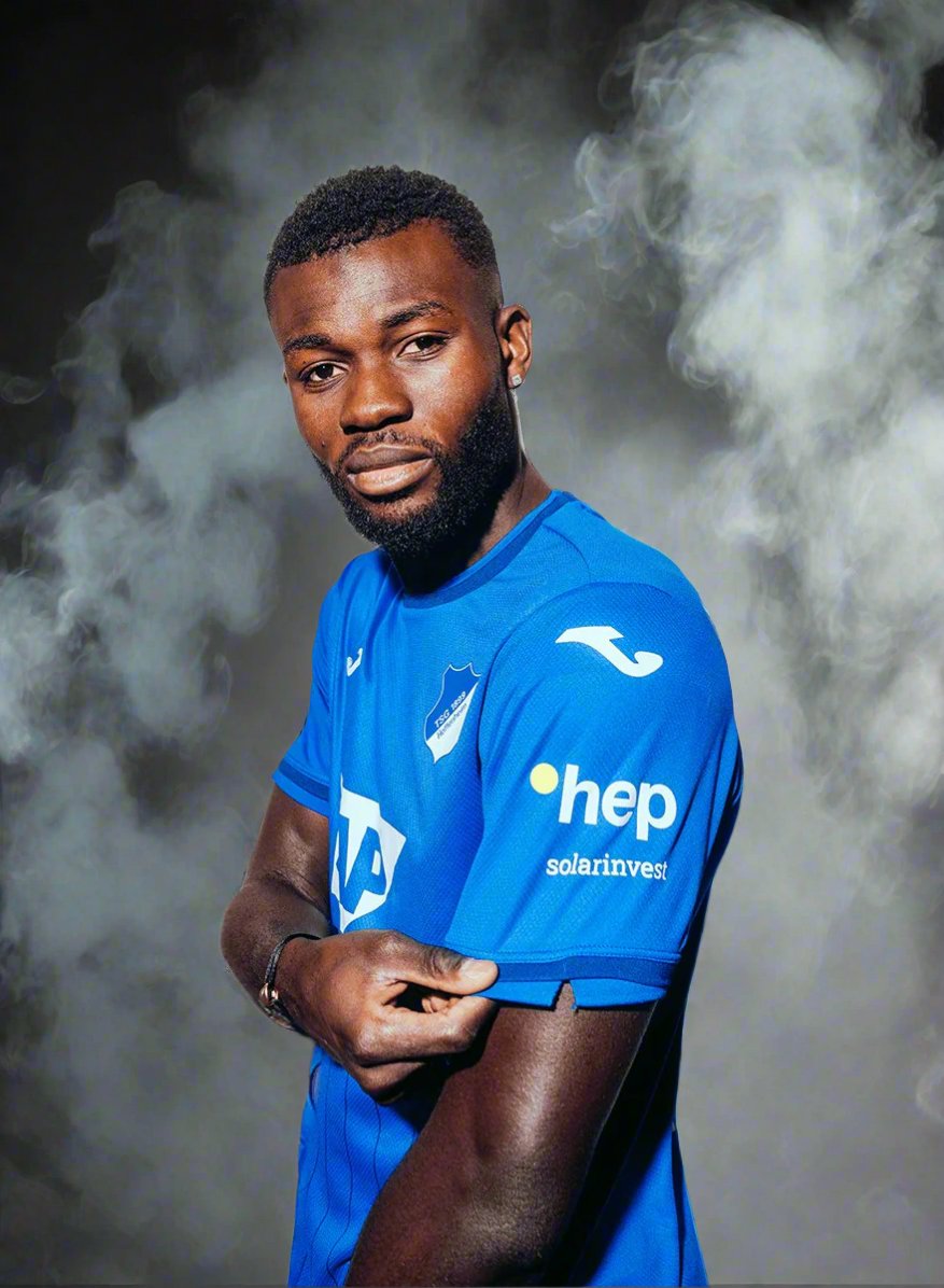 Hoffenheim 24-25 Home Shirt model