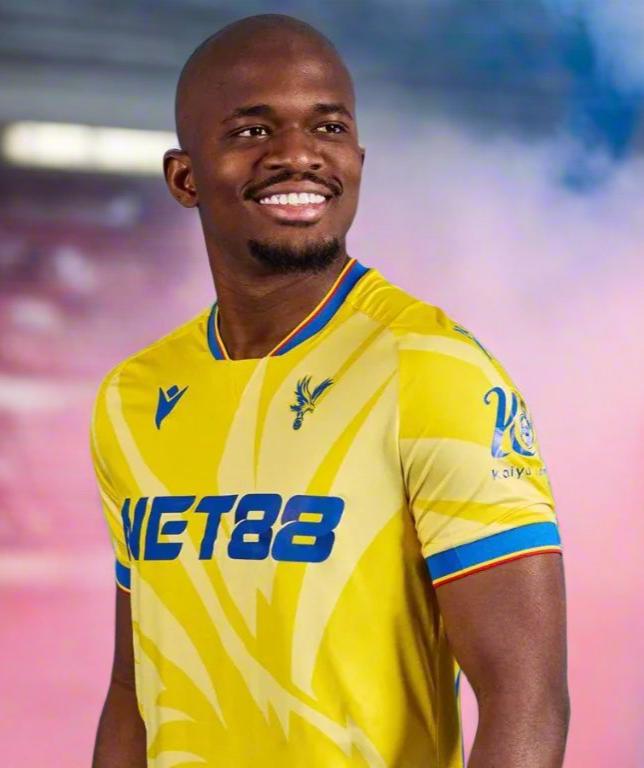 Crystal Palace 24-25 Away Shirt model