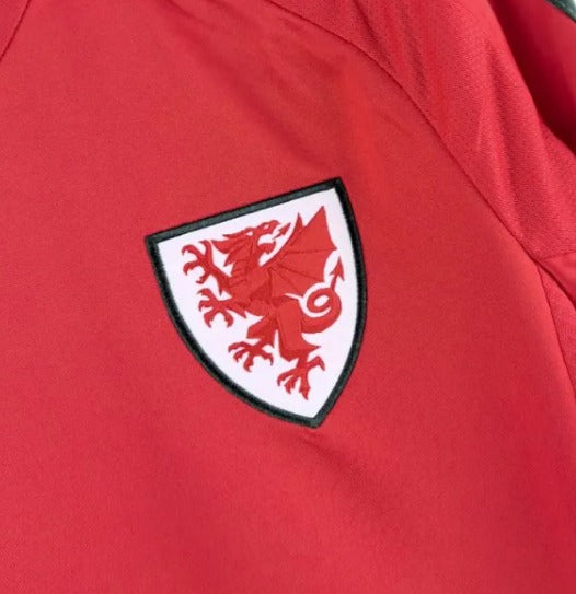 Wales 24-25 Home Shirt crest