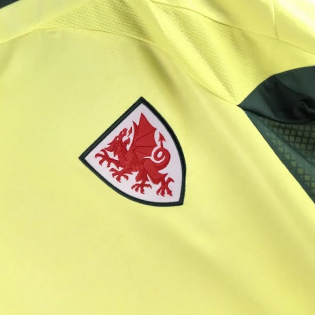 Wales 24-25 Away Shirt crest