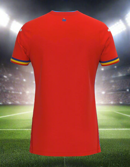 Romania 24-25 Away Shirt rear