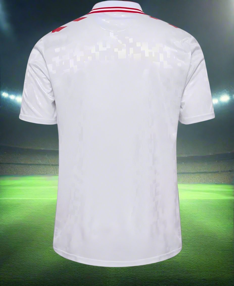 Denmark 24-25 Away Shirt rear