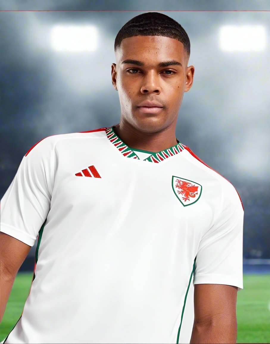 Wales 22-24 Away Shirt model