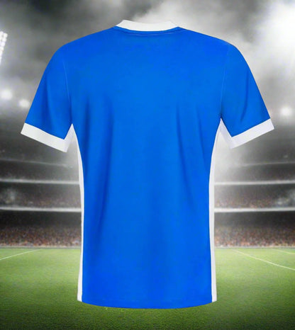 Birmingham City 24-25 Home Shirt rear