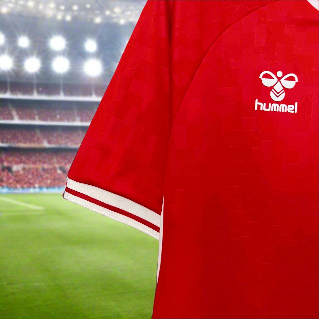 Denmark 24-25 Home Shirt sleeve