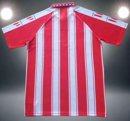 Atletico Madrid 94-95 Home Retro Shirt rear