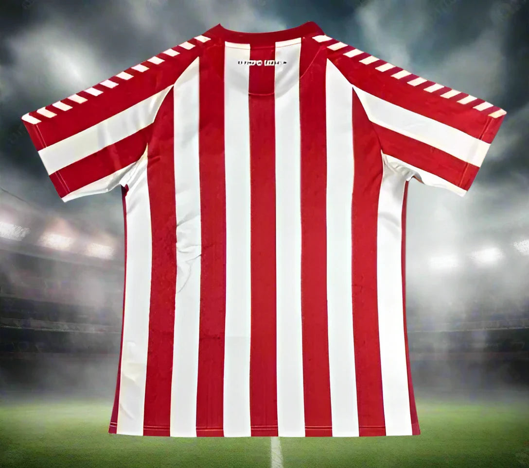 Sunderland 24-25 Home Shirt back