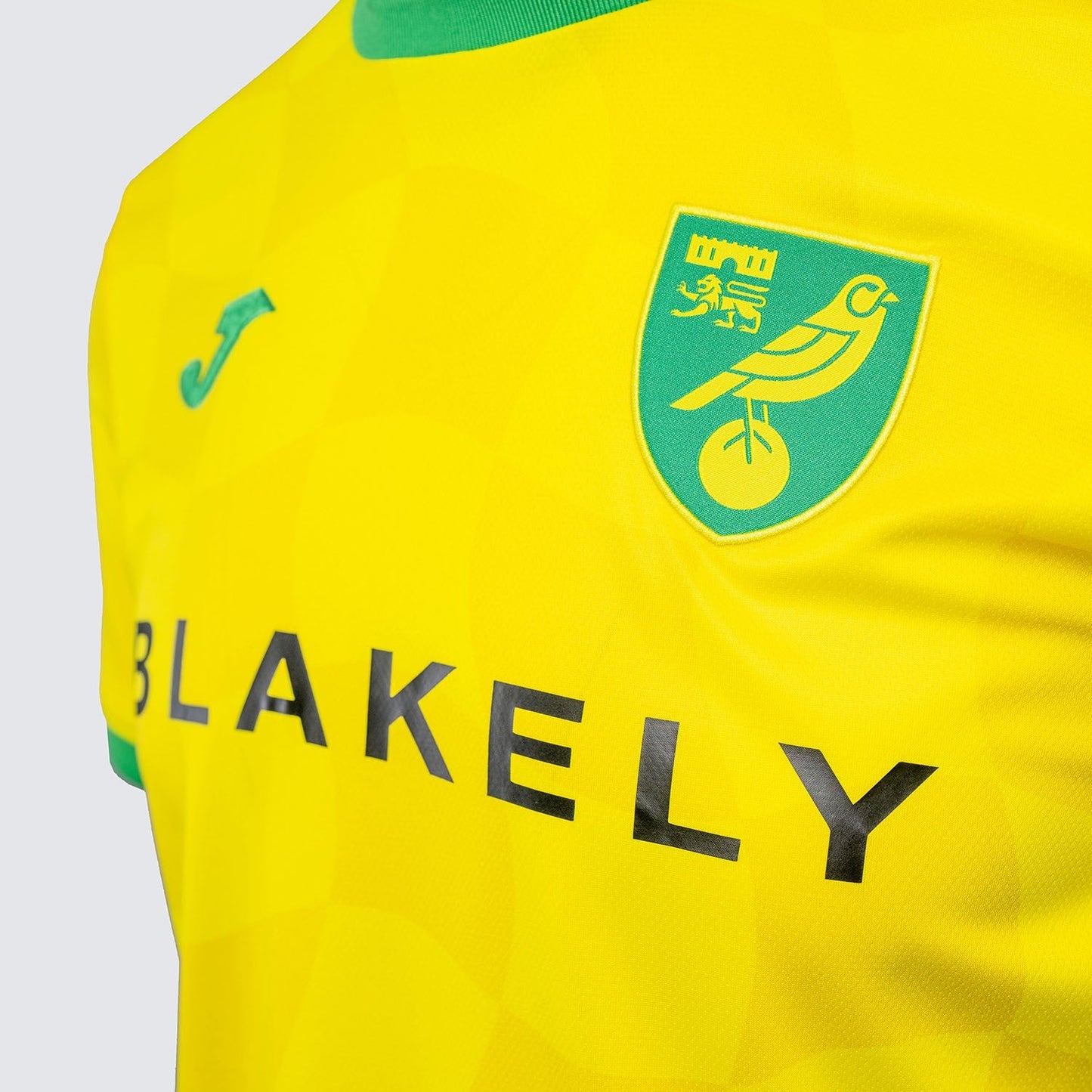 Norwich City 24-25 Home Shirt sponsor