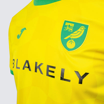 Norwich City 24-25 Home Shirt sponsor