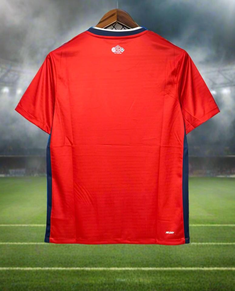 LOSC Lille 24-25 Home Shirt back