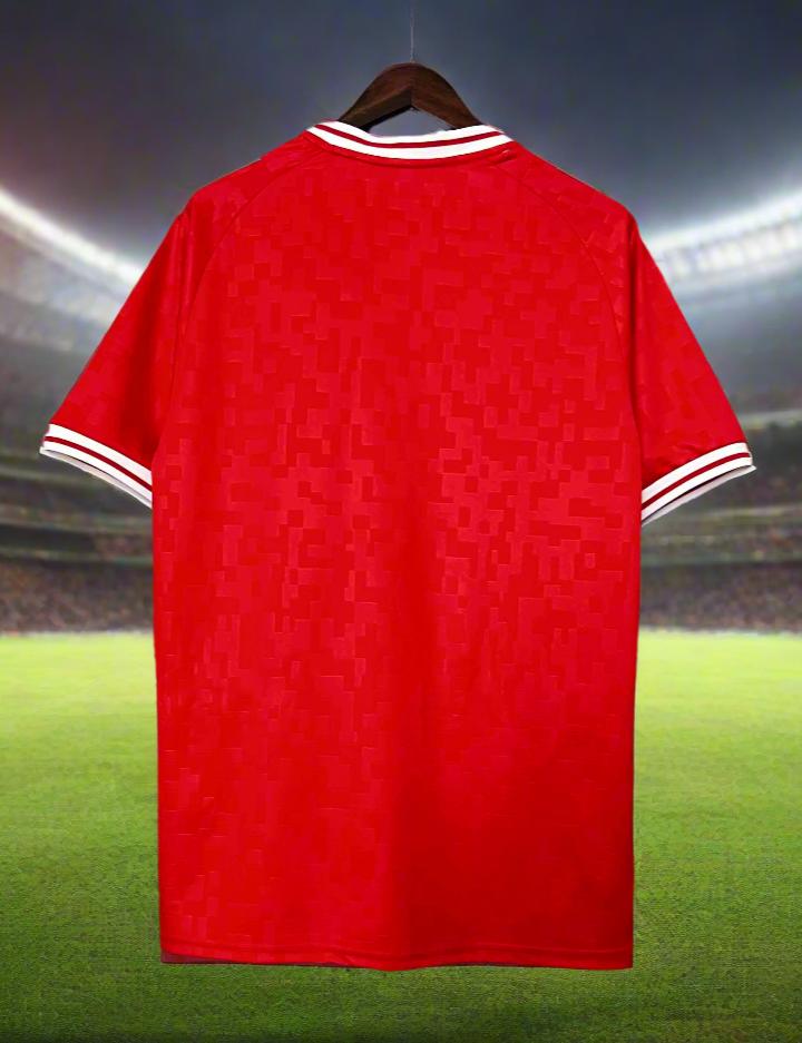 Denmark 24-25 Home Shirt back