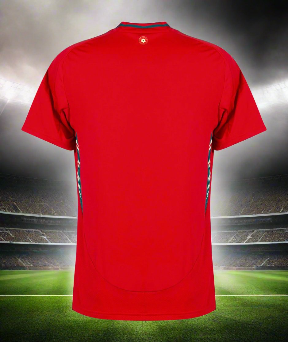 Wales 24-25 Home Shirt rear