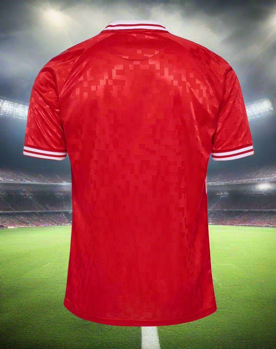 Denmark 24-25 Home Shirt rear