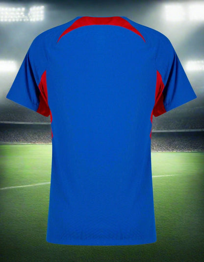 Slovakia 24-25 Home Shirt rear