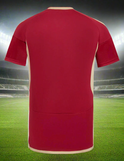 Venezuela 24-25 Home Shirt rear