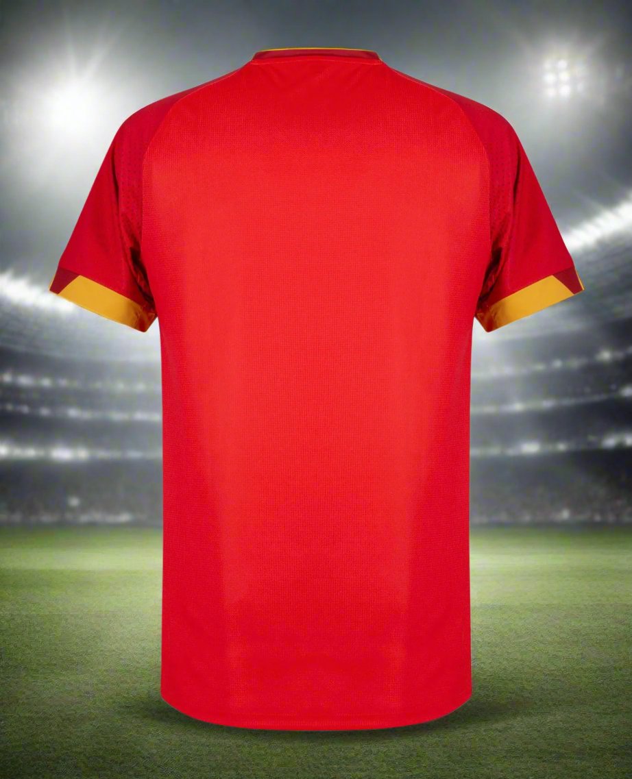 North Macedonia 24-25 Home Shirt rear